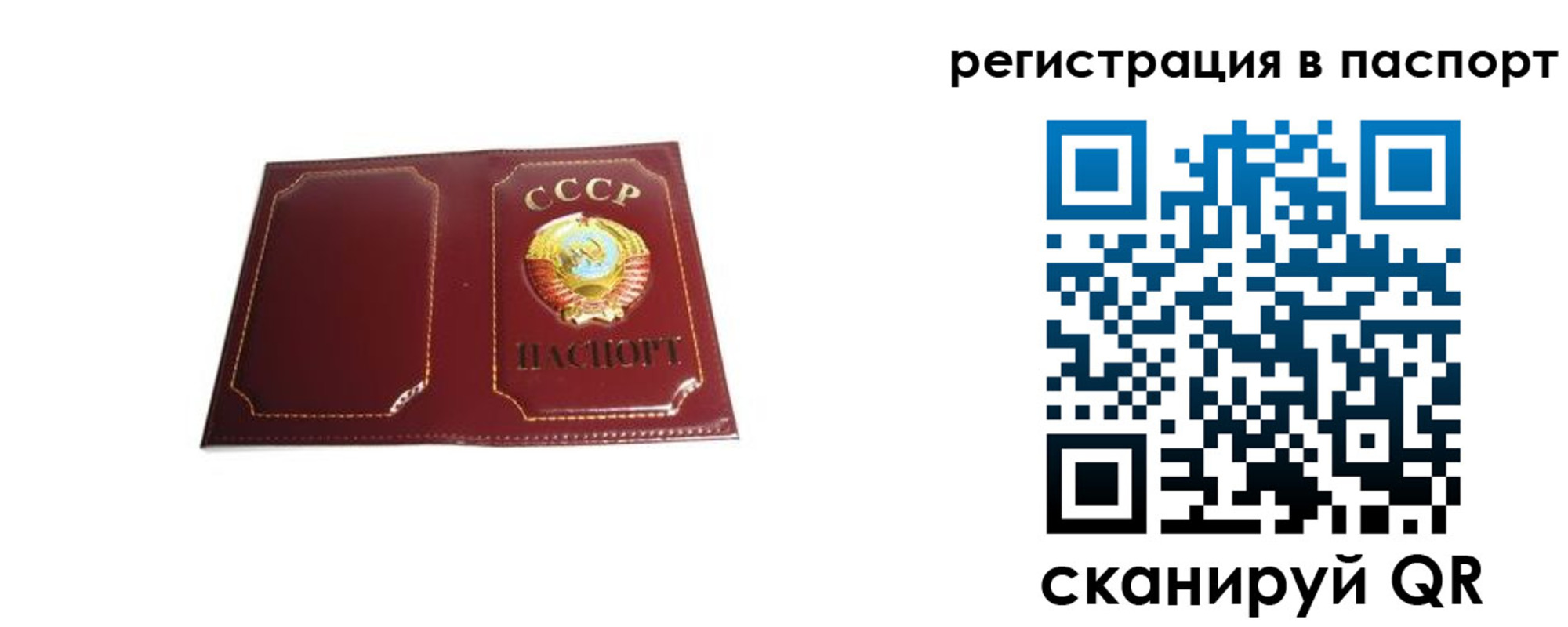 прописка 2025 в Медвежьегорске